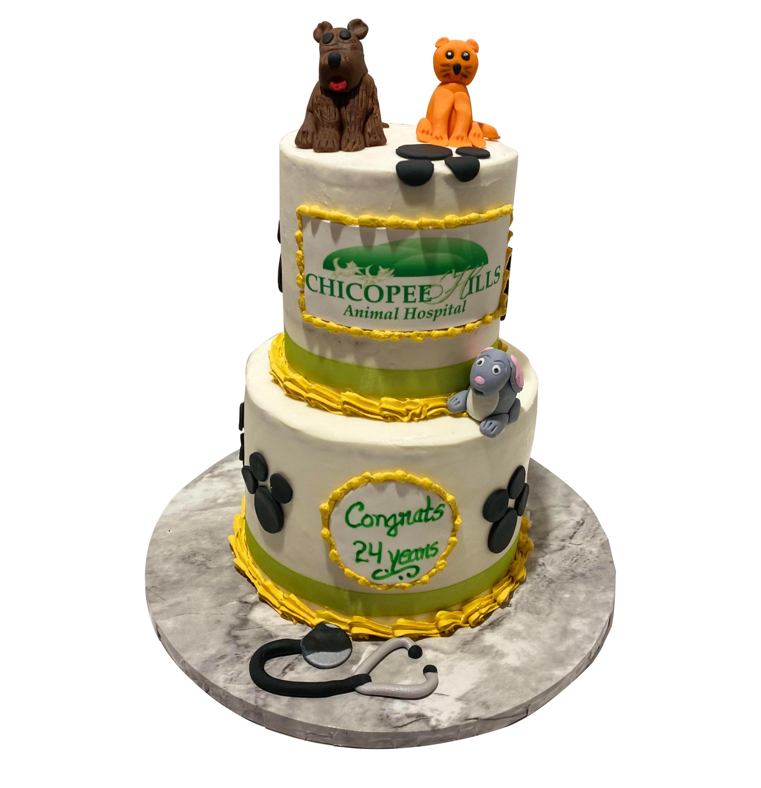 Animal Hospital Anniversary cake